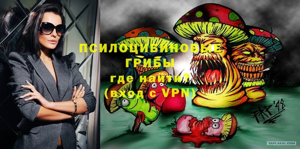 не бодяженный Гусев