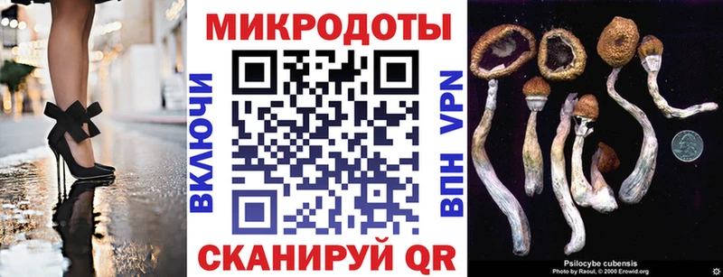 Псилоцибиновые грибы Cubensis  Джанкой 